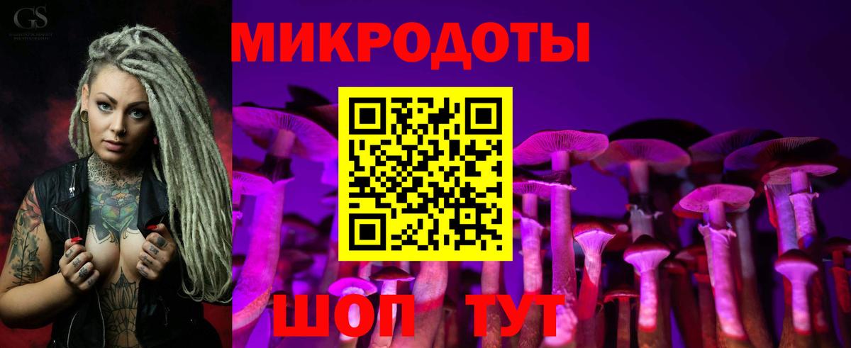 Псилоцибиновые грибы Psilocybine cubensis Железноводск