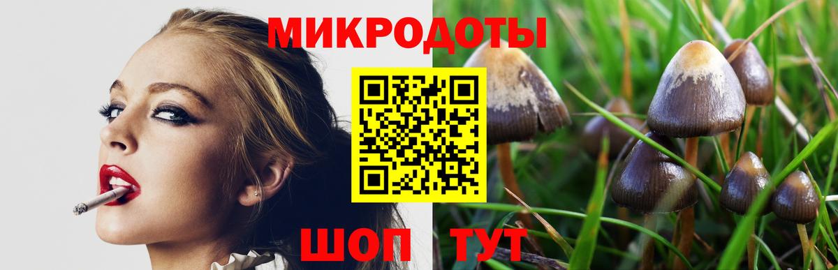 сколько стоит  Вход с VPN  Железноводск  Псилоцибиновые грибы Cubensis 